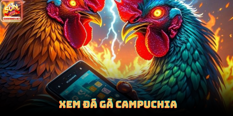 Đá Gà Campuchia: Trường Gà Hợp Pháp Với Quy Mô Lớn Tại Sunwin Giao diện xem trực tiếp đá gà HD tại Sunwin với hình ảnh sắc nét